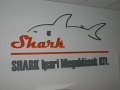 shark_0